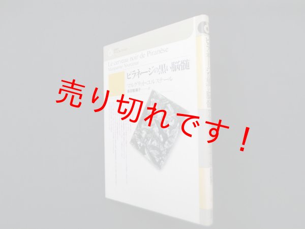 画像1: ピラネージの黒い脳髄(白水社アートコレクション)　マルグリット・ユルスナール/多田智満子 訳 (1)