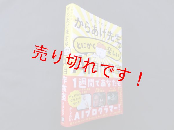 画像1: 人気ブロガーからあげ先生のとにかく楽しいAI自作教室　からあげ (1)