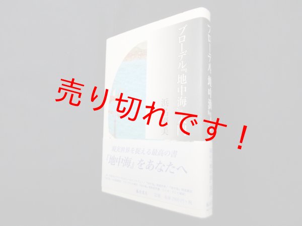 画像1: ブローデル『地中海』入門　浜名優美 (1)