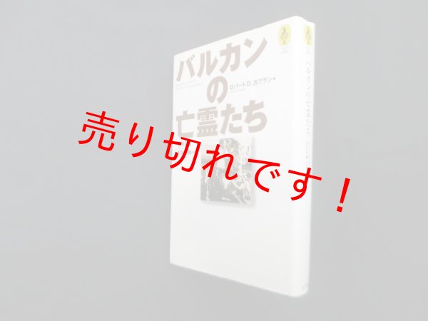 画像1: バルカンの亡霊たち　ロバート・D.カプラン/宮島直機 他訳 (1)