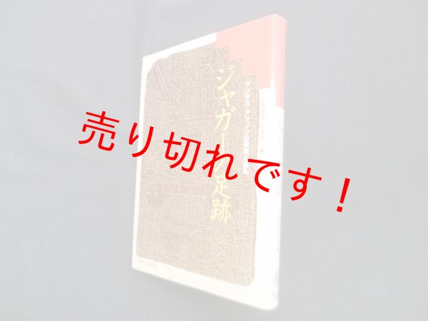 画像1: ジャガーの足跡―アンデス・アマゾンの宗教と儀礼　友枝啓泰, 松本亮三 編 (1)