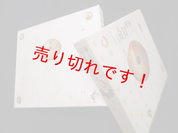 画像1: 海からの贈りもの「貝」と人間―人類学からの視点　ジェイン・F.セイファー/フランシス・M.ギル 写真/杉浦満 訳 (1)