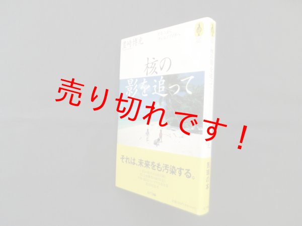 画像1: 核の影を追って―ビキニからチェルノブイリへ　豊崎博光 (1)