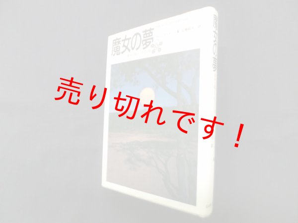画像1: 魔女の夢―運命を超えて生きる力　フロリンダ ドナー/近藤純夫 訳 (1)