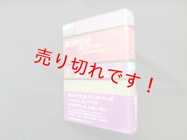 画像1: 地の果ての夢タンジール―ボウルズと異境の文学者たち　ミシェル・グリーン/新井潤美 他訳 (1)