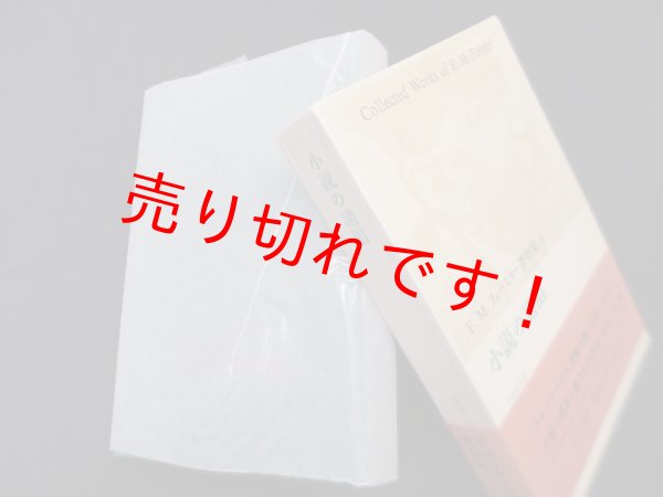 画像1: 小説の諸相 (E.M.フォースター著作集 8)　E.M.フォースター/中野康司 訳 (1)