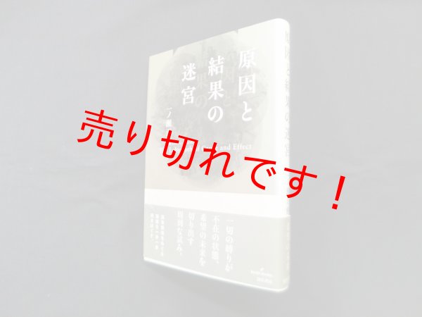 画像1: 原因と結果の迷宮 (1)