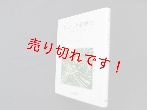 画像1: 名指しと必然性―様相の形而上学と心身問題　ソール・A.クリプキ/八木沢敬 他訳 (1)