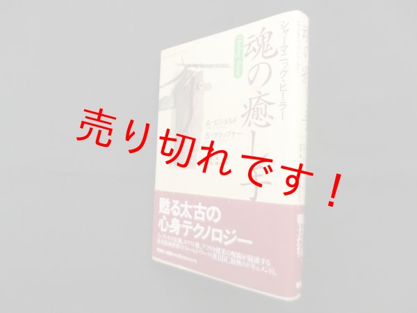画像1: 魂の癒し手―シャーマニック・ヒーラー　A・ビジョルド 他/東長人 監訳/藤井礼子 訳 (1)