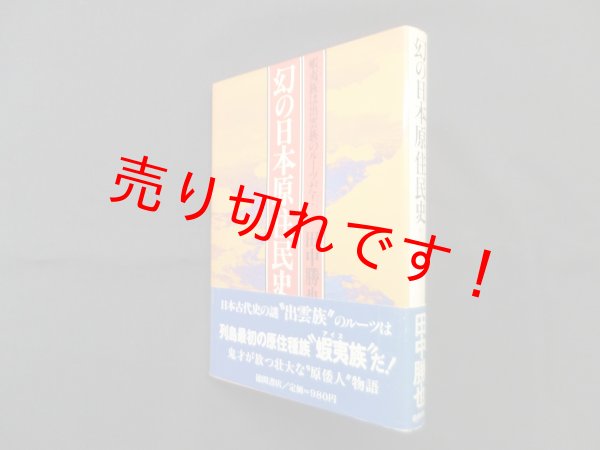 画像1: 幻の日本原住民史 ―蝦夷族は出雲族のルーツだ!　田中勝也 (1)
