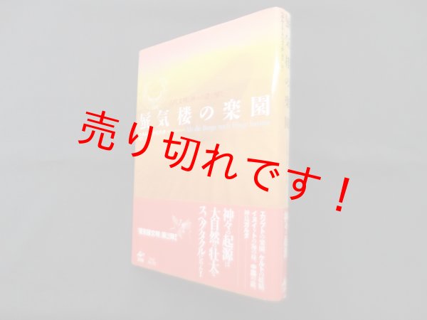 画像1: 蜃気楼の楽園―古代文明と神々の謎を解く　ヘルムート・トリブッチ/渡辺正 訳 (1)