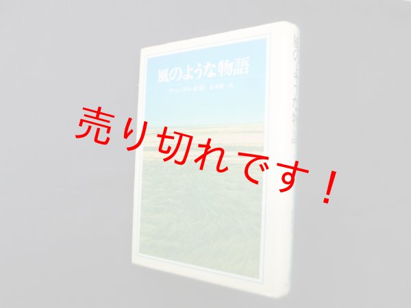画像1: 風のような物語　ヴァン・デル・ポスト/並木慎一 訳 (1)