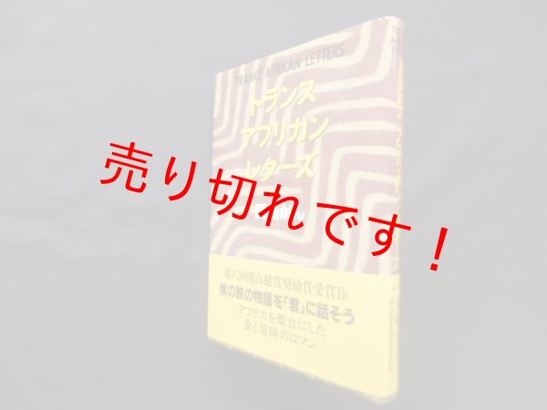 画像1: トランス・アフリカン・レターズ　岡崎がん (1)