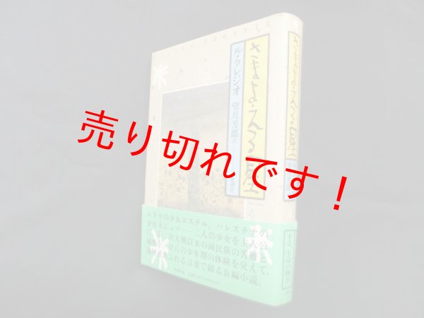 画像1: さまよえる星　ル・クレジオ/望月芳郎 訳 (1)