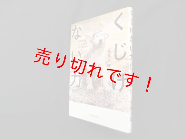 画像1: くじけない力―宮澤賢治も信じた法華経「自己肯定」の教え　立花大敬 (1)