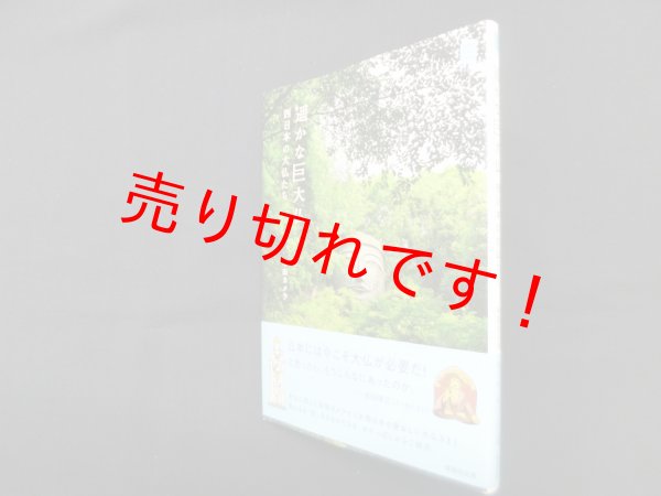 画像1: 遥かな巨大仏 西日本の大仏たち (KanKanTrip Japan)　半田カメラ (1)
