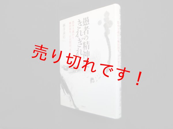 画像1: 愚者の精神史きれぎれ―農本主義から柳田国男、宮沢賢治、そして鬼　綱澤満昭 (1)