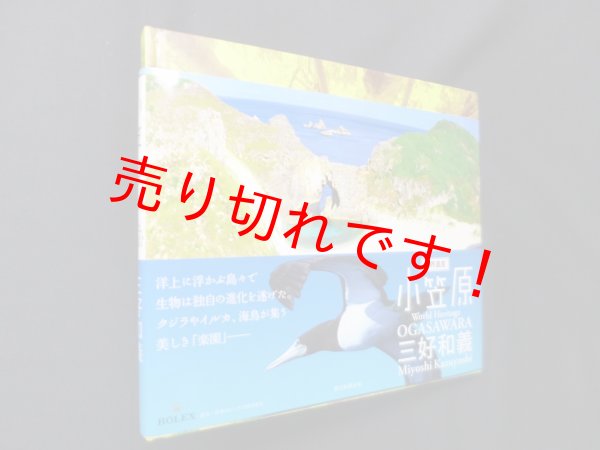画像1: 世界遺産・小笠原　三好和義 (1)