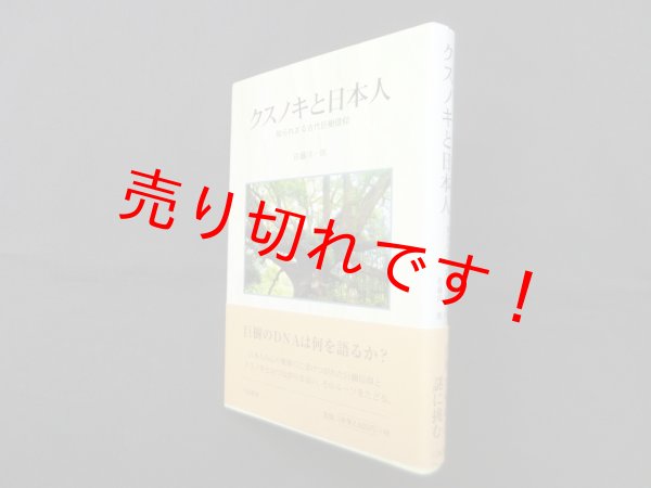 画像1: クスノキと日本人―知られざる古代巨樹信仰　佐藤洋一郎 (1)