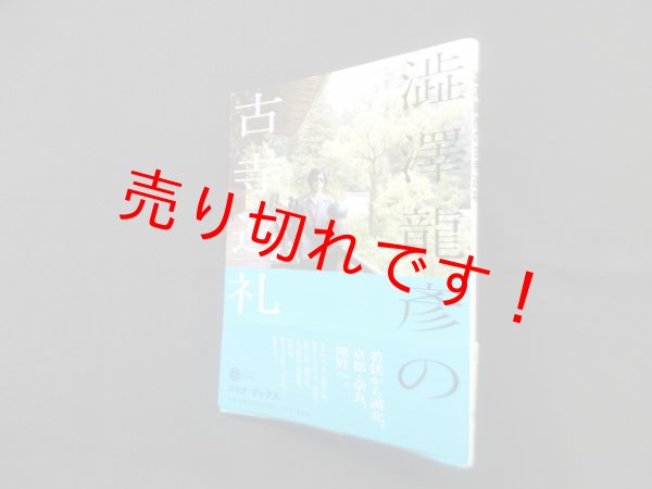 画像1: 澁澤龍彦の古寺巡礼 (コロナ・ブックス)　澁澤龍彦, 澁澤龍子 (1)