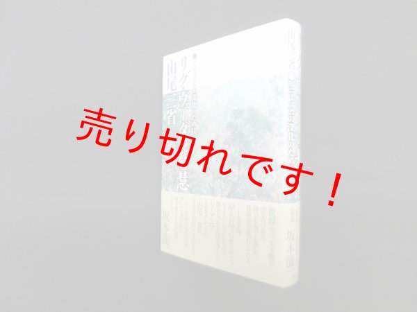 画像1: リグ・ヴェーダの智慧―アニミズムの深化のために　山尾三省 (1)