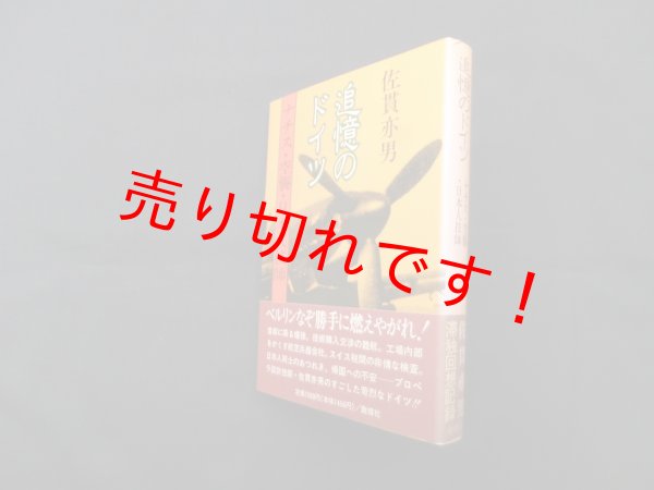 画像1: 追憶のドイツ―ナチス・空襲・日本人技師　佐貫亦男 (1)