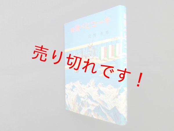 画像1: 続 飛べヒコーキ　佐貫亦男 (1)