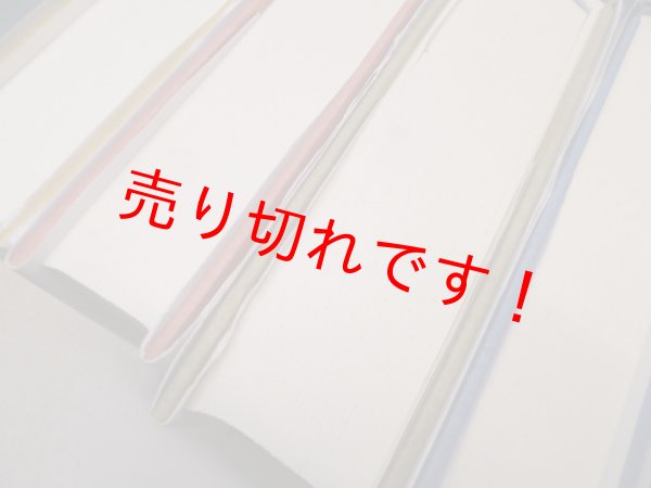 画像3: 反ユダヤ主義の歴史　全5冊揃　レオン・ポリアコフ/菅野賢治 他訳 (3)