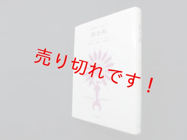 画像1: 象徴哲学大系〈4〉錬金術　マンリー・P.ホール/大沼忠弘 他訳 (1)