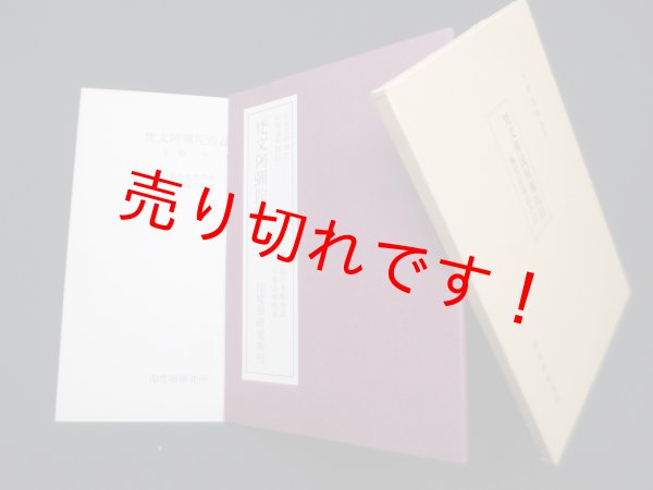 画像1: 梵文佛説阿彌陀経―極楽荘巌経小経　平等通照 譯著 (1)