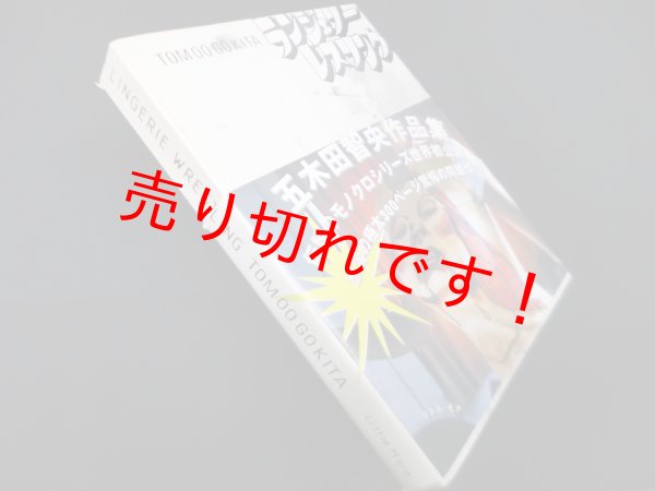 画像1: ランジェリー・レスリング　五木田智央作品集　五木田智央 (1)
