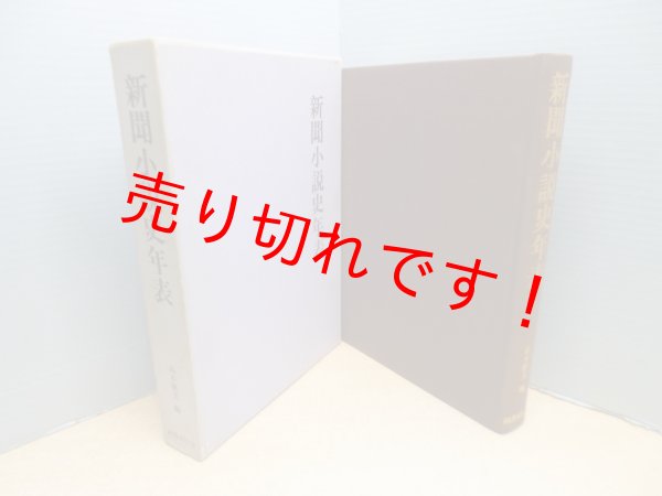 画像1: 新聞小説史年表 (1)