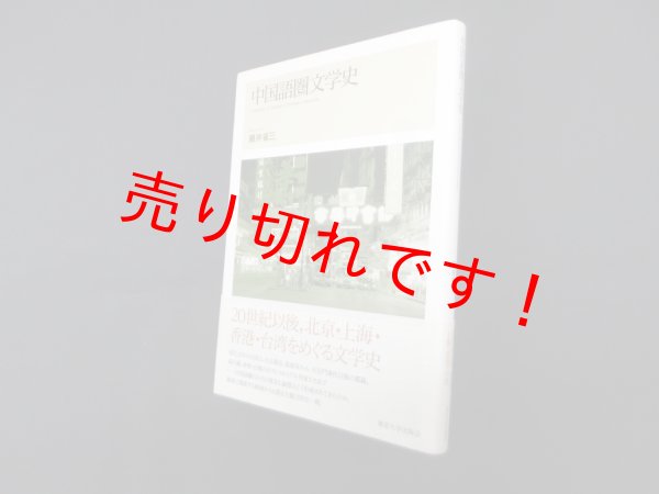 画像1: 中国語圏文学史　藤井省三 (1)
