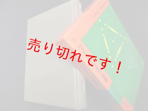 画像1: ウィトゲンシュタイン全集　6　大森荘蔵 他訳 (1)