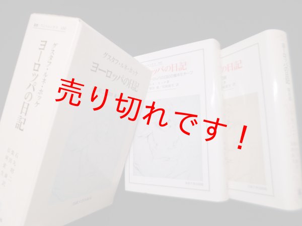 画像1: ヨーロッパの日記 I・II 2冊揃　グスタフ・ルネ・ホッケ/石丸昭二 他訳 (1)