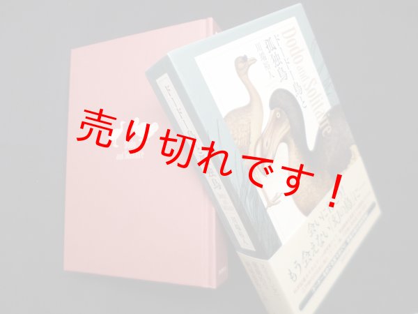 画像1: ドードー鳥と孤独鳥　川端裕人 (1)