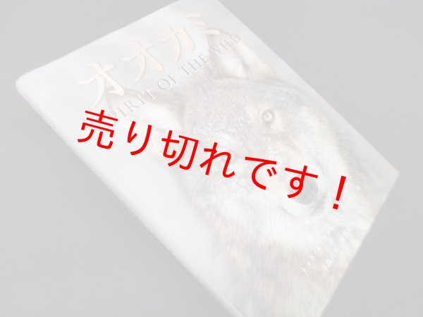 画像1: オオカミ―SPIRIT OF THE WILD　トッド・K・フラー/ 竹田純子 訳/幸島司郎 他監修 (1)