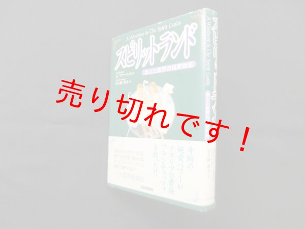 画像1: スピリットランド―地上と霊界の純愛物語　A. ファーニス/岩大路邦夫 訳 (1)