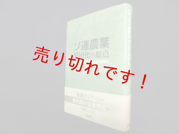 画像1: ソ連農業集団化の原点―ソヴィエト体制とアメリカユダヤ人　高尾千津子 (1)