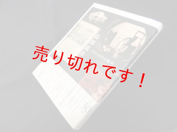 画像1: 澁澤龍彦　ドラコニアの地平　世田谷文学館 編 (1)