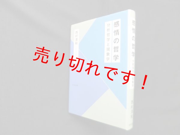 画像1: 感情の哲学―分析哲学と現象学　西村清和 (1)