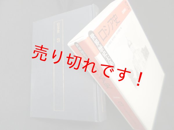 画像1: ロシア史〈3〉 (世界歴史大系)　田中陽児 他編 (1)