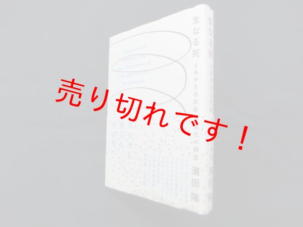 画像1: 生なる死―よみがえる生命と文化の時空　浜田陽 (1)