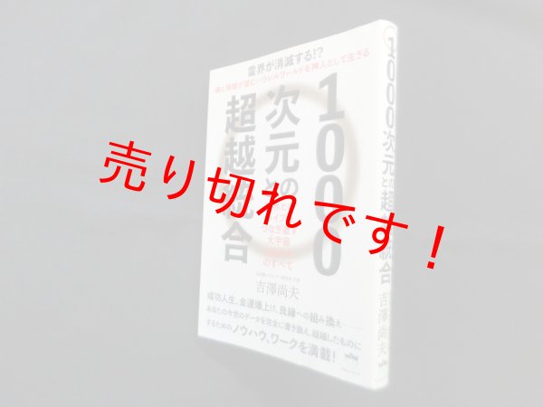 画像1: 1000次元との超越統合―神界とのパイプをつなぎ直す 大宇宙全統合力のすべて　吉澤尚夫 (1)