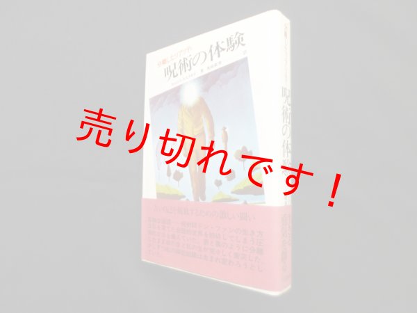 画像1: 呪術の体験―分離したリアリティ　カルロス・カスタネダ 著/真崎義博 訳 (1)