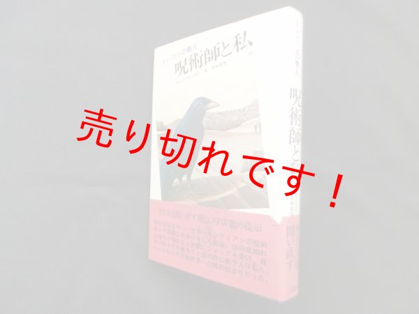 画像1: 呪術師と私―ドン・ファンの教え　カルロス・カスタネダ 著/真崎義博 訳 (1)