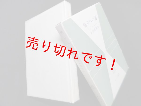 画像1: 悟りへの道（サーラ叢書）　シャーンティデーヴ 著/金倉円照 訳 (1)