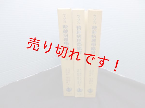 画像1: ヤスペルス 精神病理学総論　上中下 全3冊揃　ヤスペルス 著/内村祐之 他訳 (1)