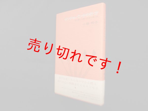 画像1: サンチョ・パンサの行方―私の愛した詩人たちの思い出　小柳玲子 (1)
