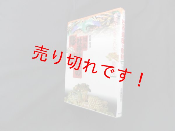 画像1: 図説 社寺建築の彫刻―東照宮に彫られた動植物　高藤晴俊 (1)